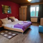 Pensionat Gaestehaus Schoenstein *
