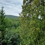Pensionat Gaestehaus Schoenstein *