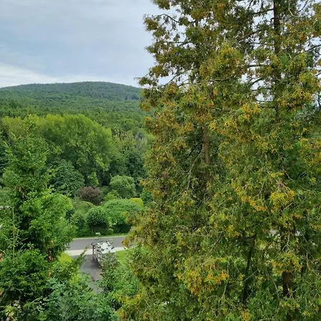 Gaestehaus Schoenstein *