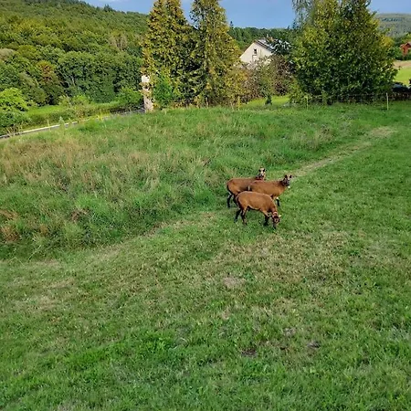 Gaestehaus Schoenstein * Gilserberg