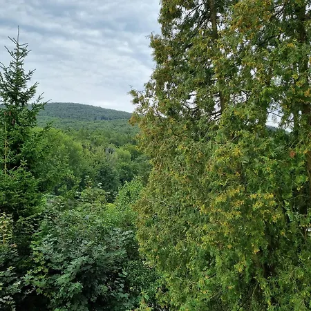 Guest house Gaestehaus Schoenstein *