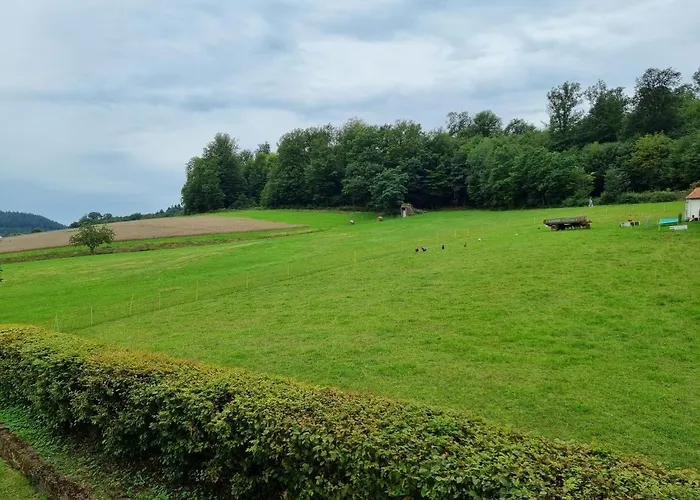 Gaestehaus Schoenstein Guest house