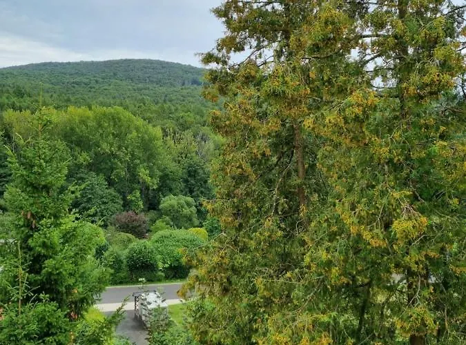 Gaestehaus Schoenstein *