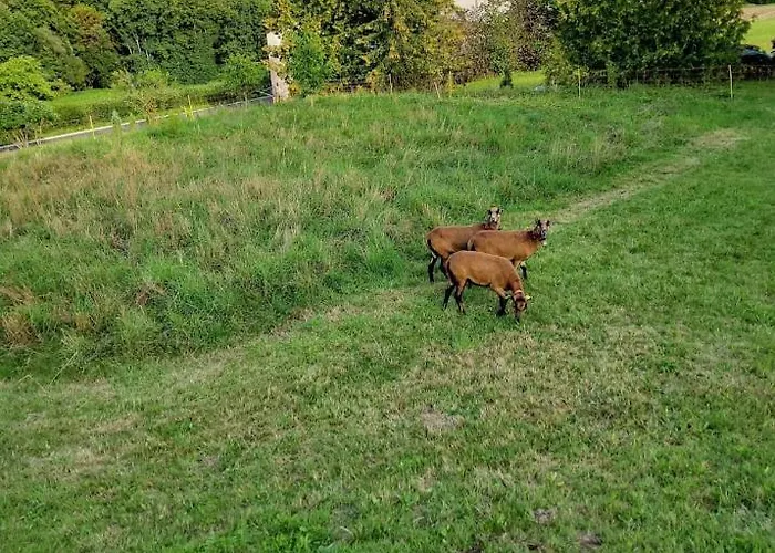 Gaestehaus Schoenstein * Gilserberg